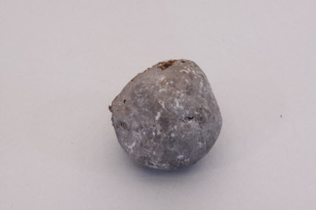 Tennis ball discovered behind wall paneling cms 282428 1bro